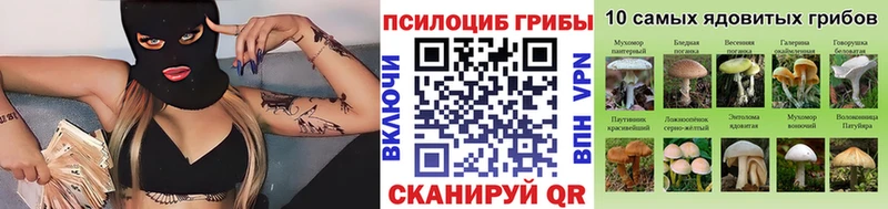 Галлюциногенные грибы GOLDEN TEACHER сайты даркнета состав Боровск